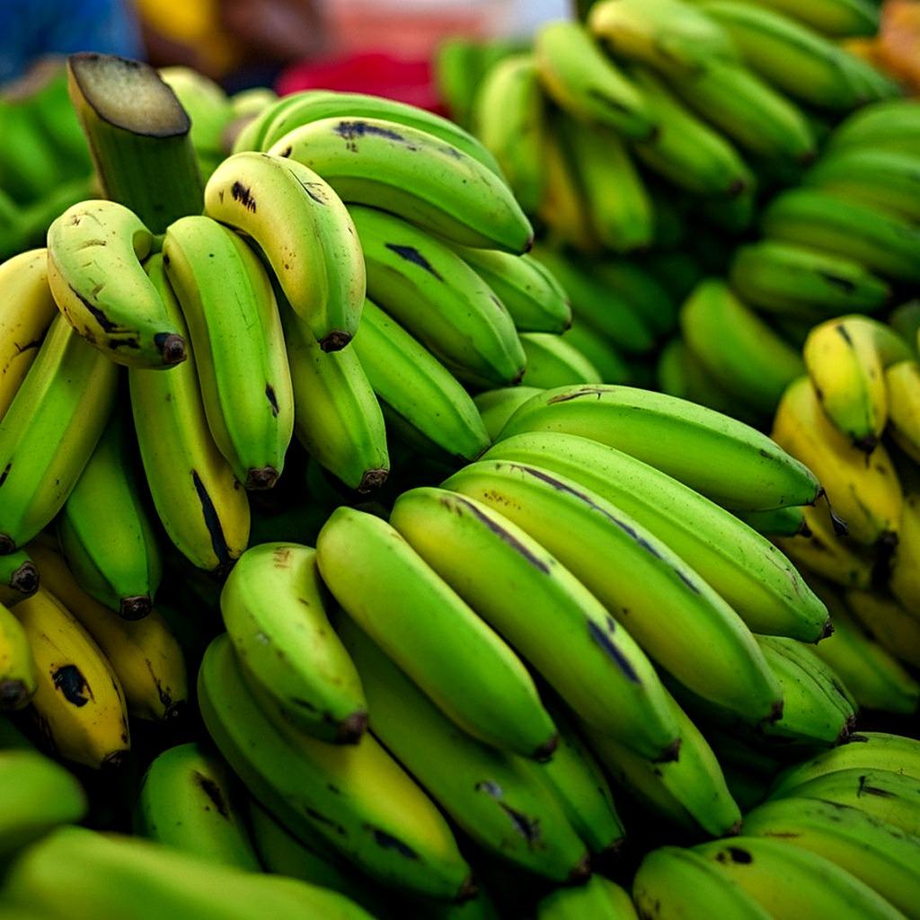 Banane Plantain