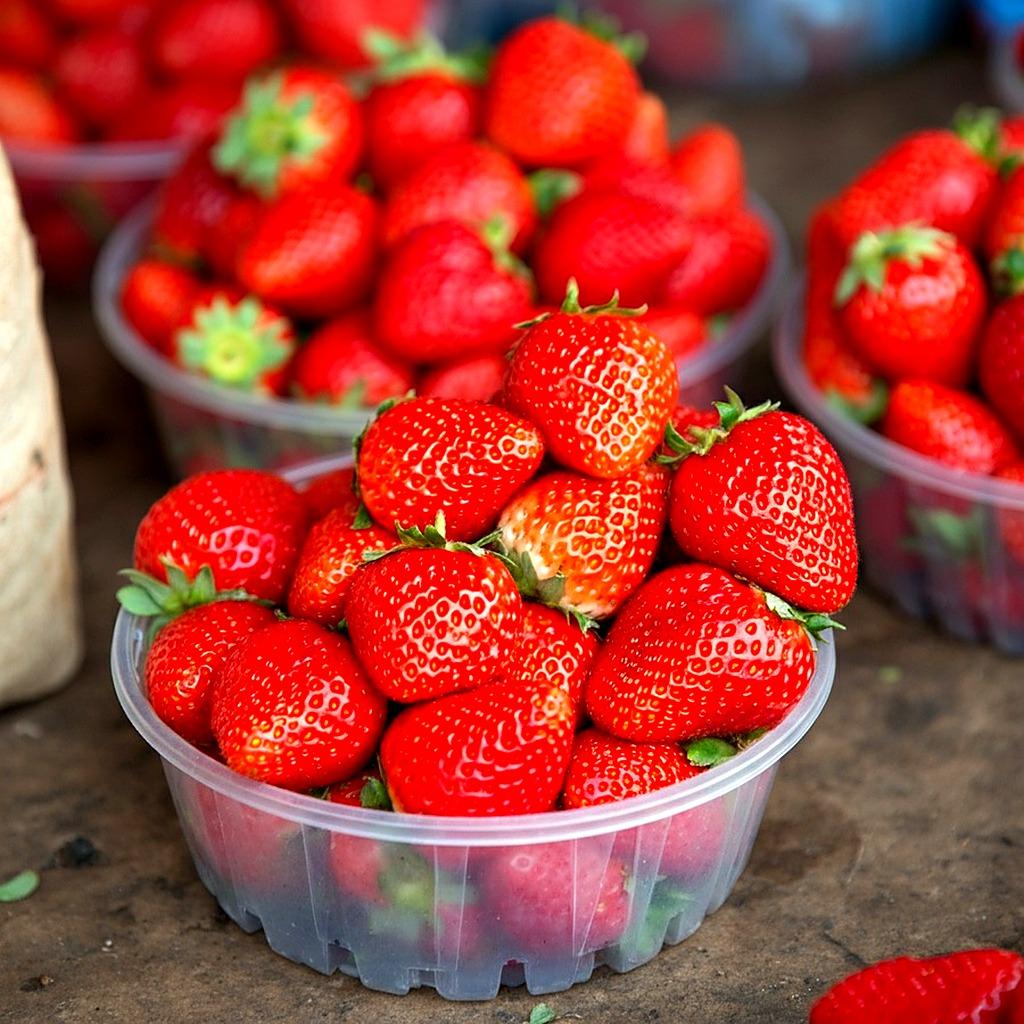 Fraise
